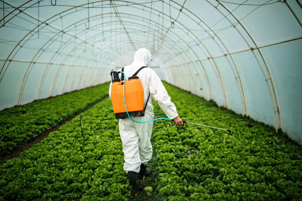 Best Pest Control for Restaurants  in Luck, WI