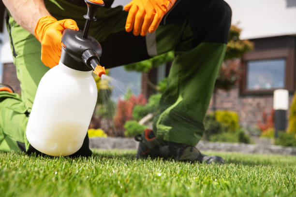 Best Wasp Removal Services  in Luck, WI