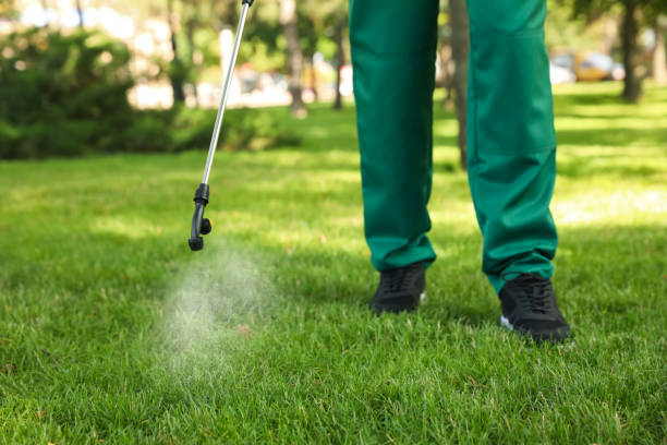 Best Ant Control Services  in Luck, WI