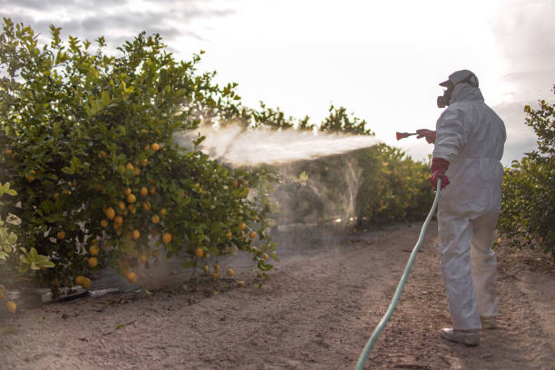 Best Affordable Pest Control Services  in Luck, WI