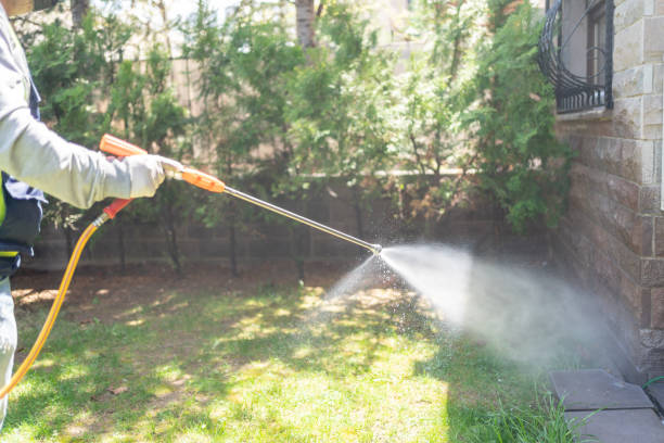 Best Cockroach Control Services  in Luck, WI