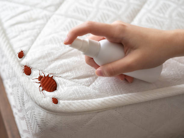 Best Pest Control Near Me  in Luck, WI