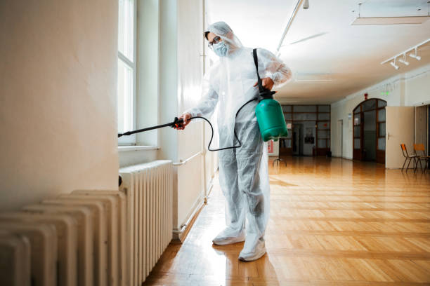 Best Flea Control Services  in Luck, WI