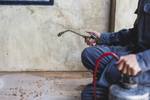 Professional Pest Control in Luck, WI